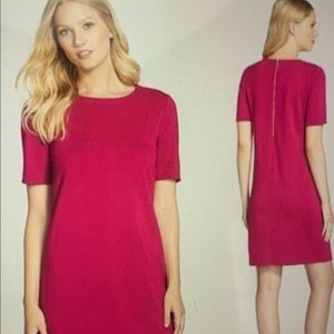 Felicity & Coco Midi Career Shift Dress